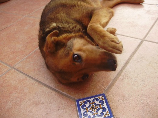 esta es mi gorda